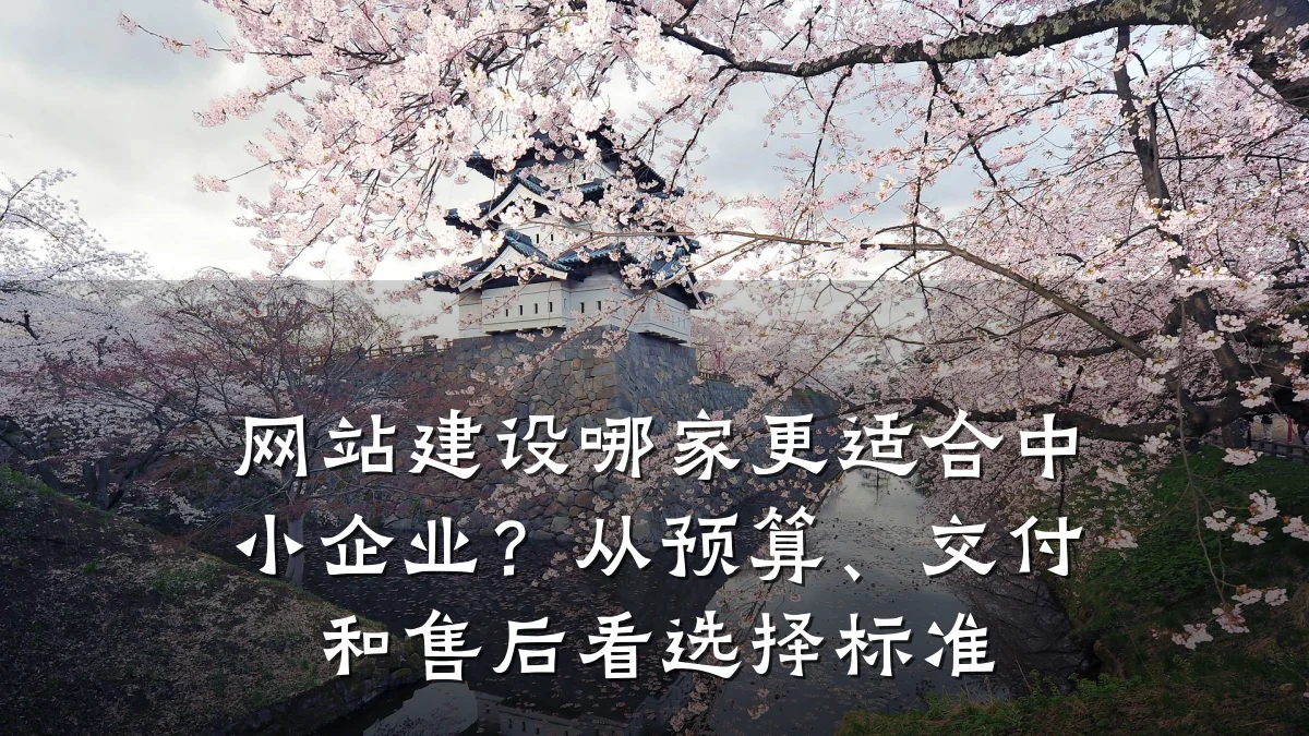 网站建设哪家更适合中小企业?从预算、交付和售后看选择标准