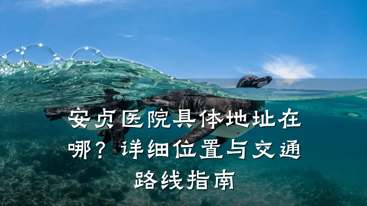 安贞医院具体地址在哪?详细位置与交通路线指南