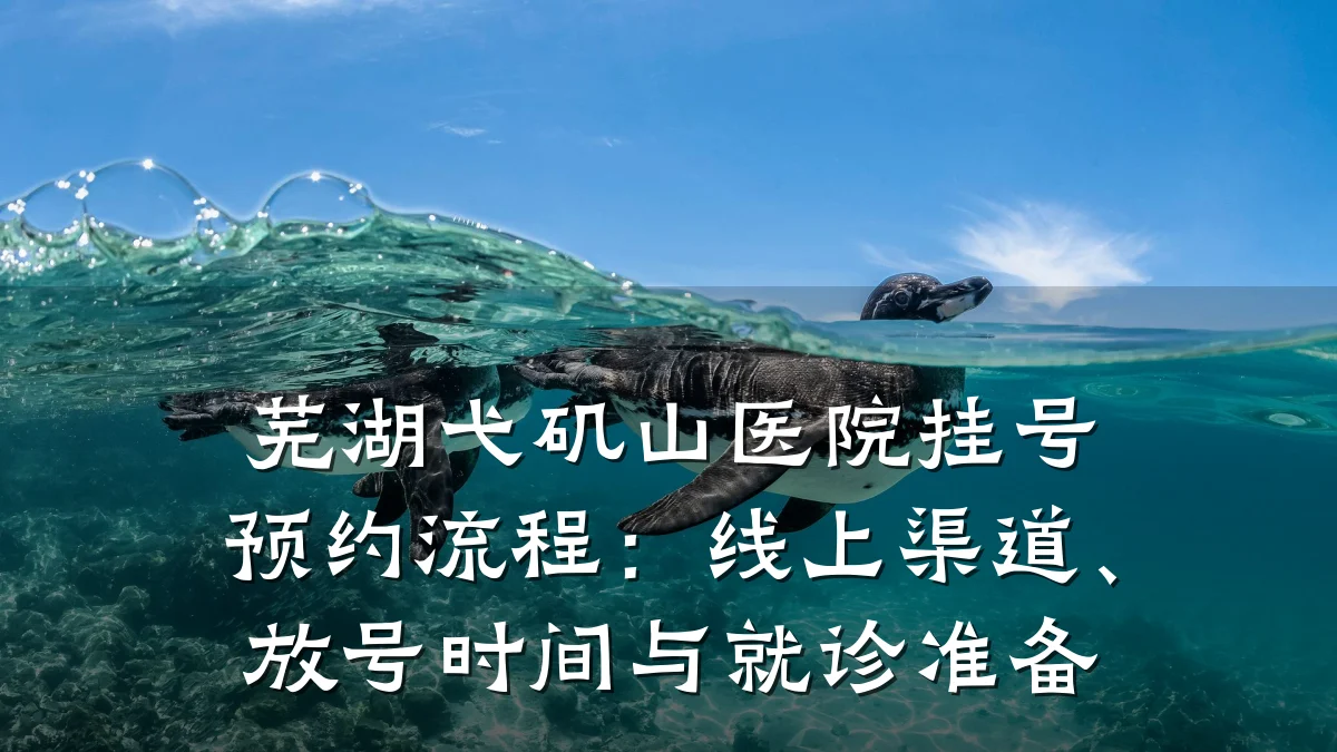 芜湖弋矶山医院挂号预约流程:线上渠道、放号时间与就诊准备