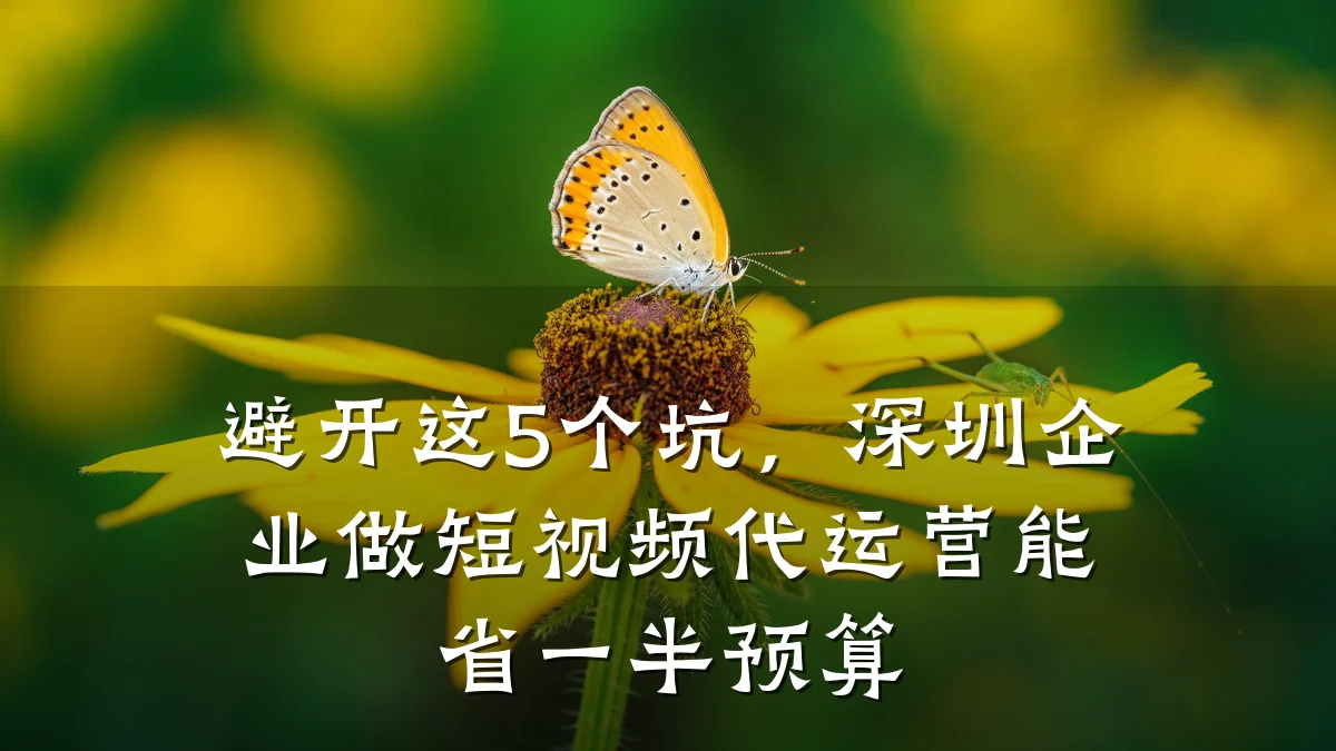 避开这5个坑，深圳企业做短视频代运营能省一半预算