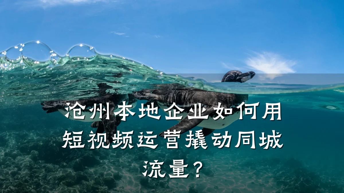 沧州本地企业如何用短视频运营撬动同城流量?