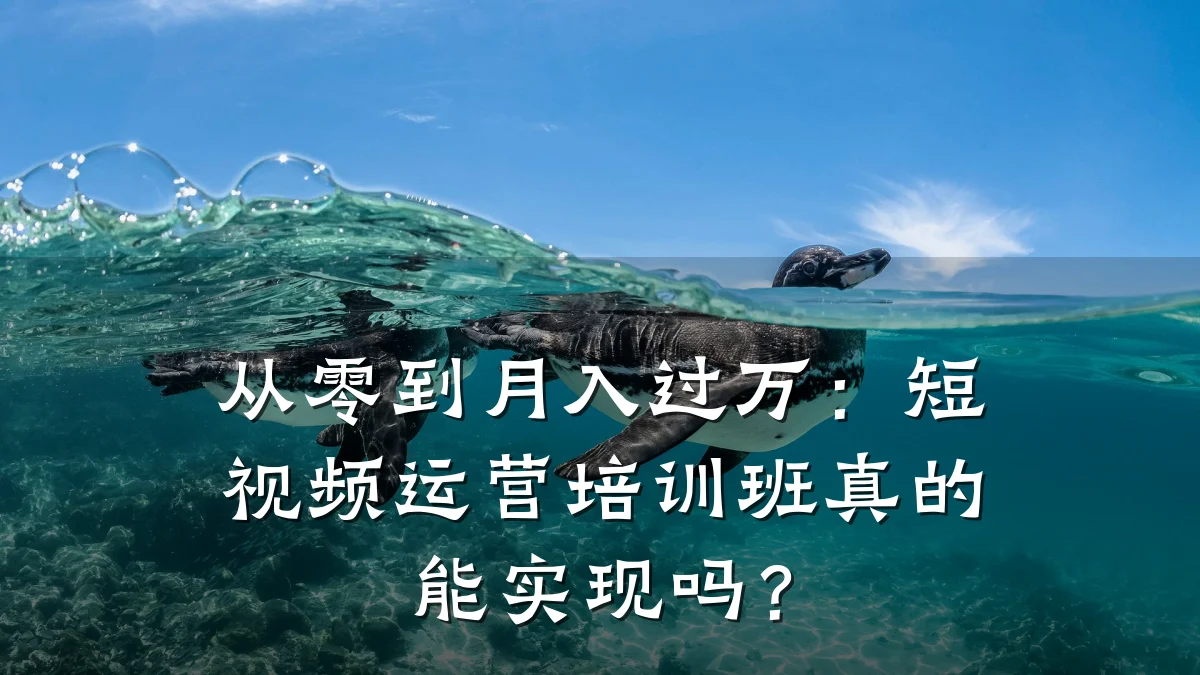 从零到月入过万：短视频运营培训班真的能实现吗？