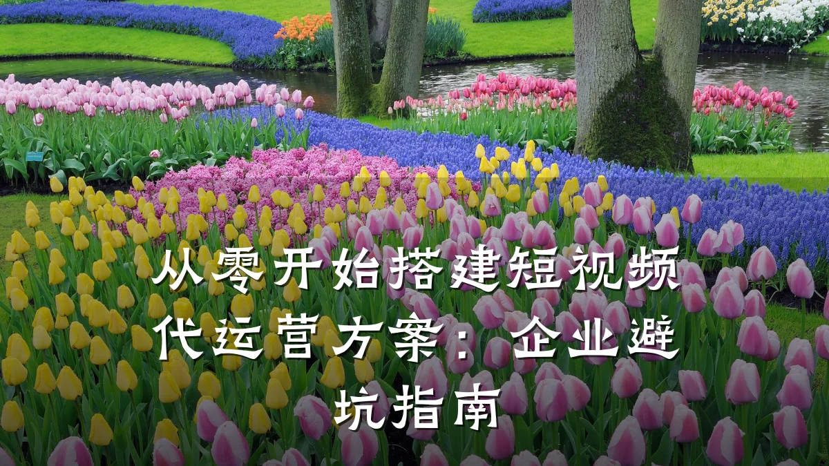 从零开始搭建短视频代运营方案:企业避坑指南