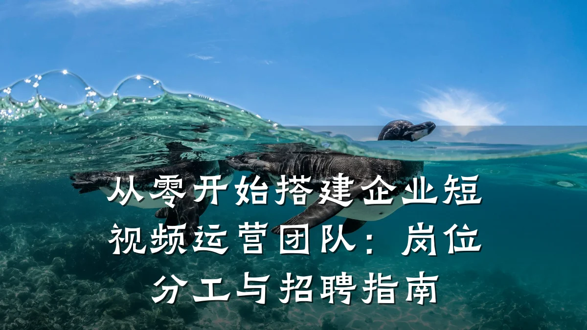 从零开始搭建企业短视频运营团队:岗位分工与招聘指南