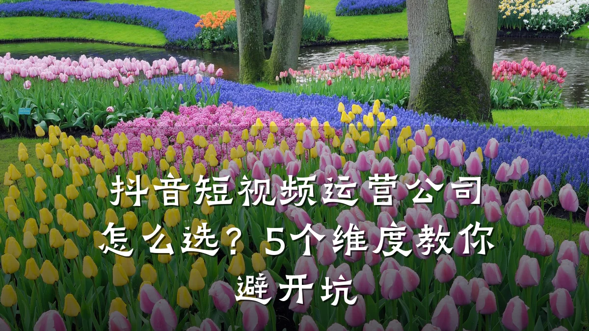抖音短视频运营公司怎么选？5个维度教你避开坑