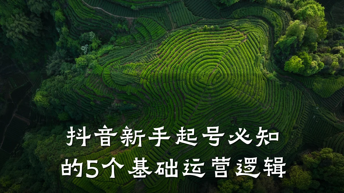 抖音新手起号必知的5个基础运营逻辑