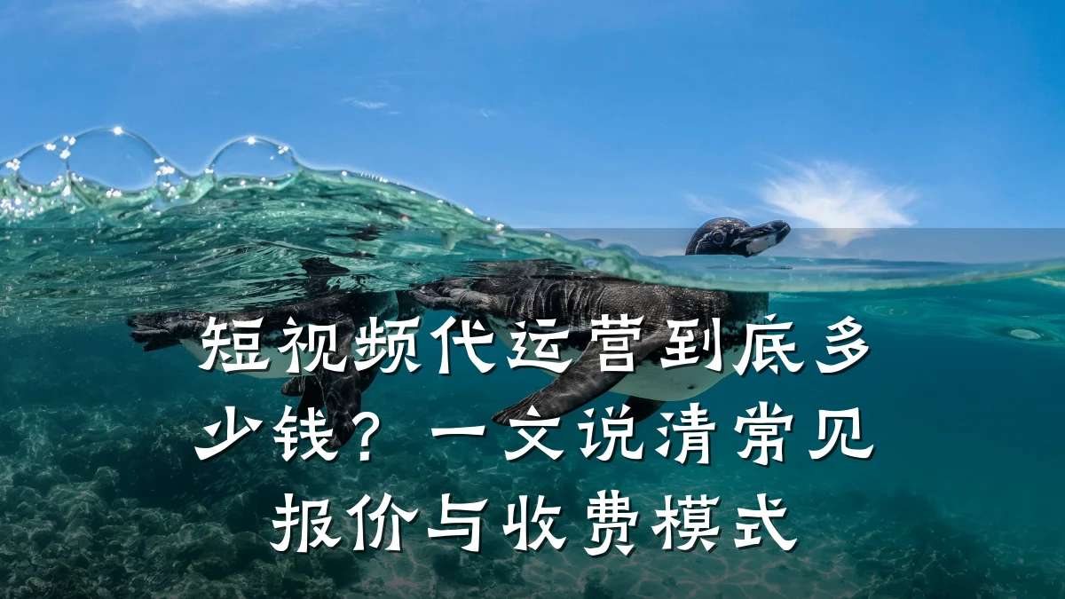 短视频代运营到底多少钱?一文说清常见报价与收费模式