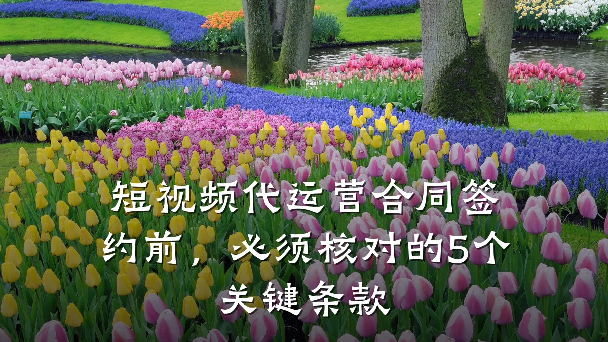 短视频代运营合同签约前,必须核对的5个关键条款