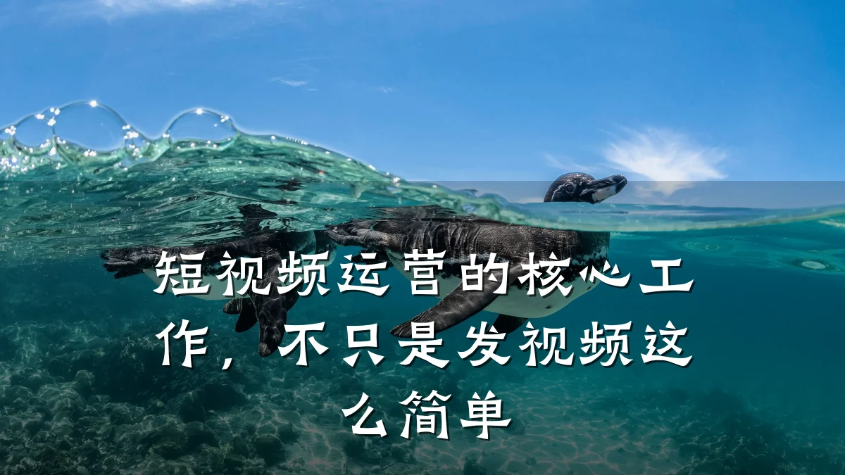 短视频运营的核心工作，不只是发视频这么简单