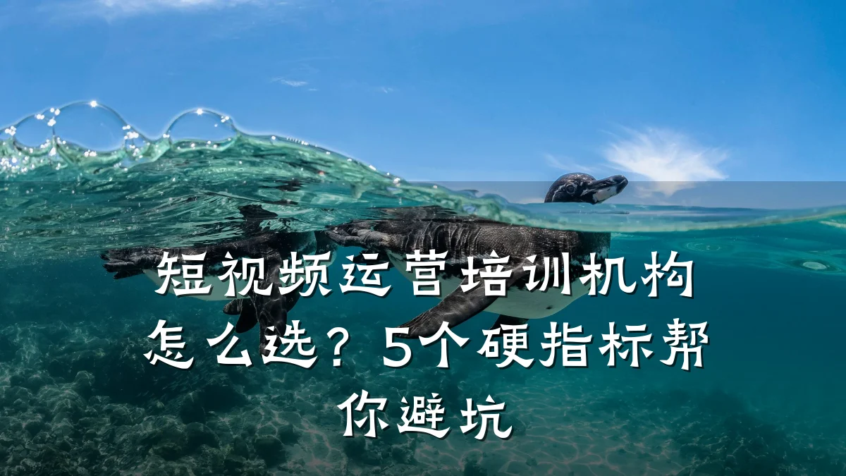 短视频运营培训机构怎么选?5个硬指标帮你避坑