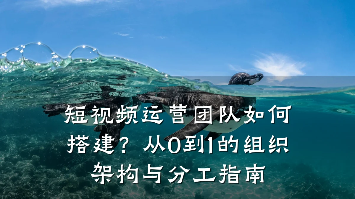 短视频运营团队如何搭建？从0到1的组织架构与分工指南