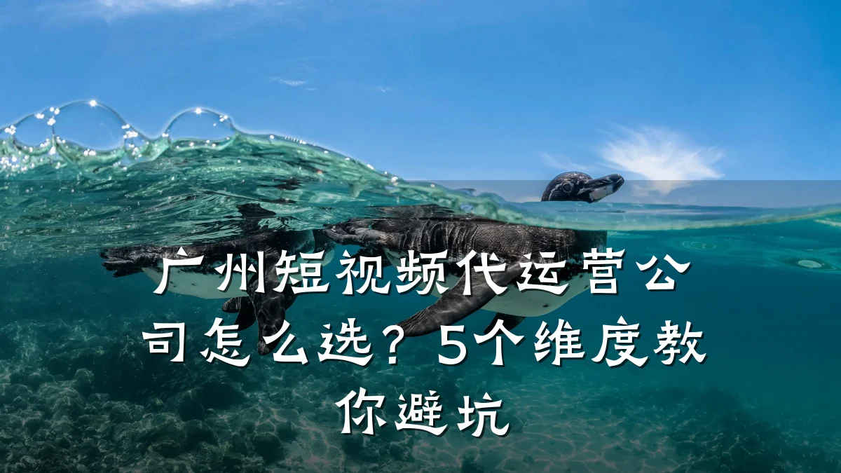 广州短视频代运营公司怎么选？5个维度教你避坑