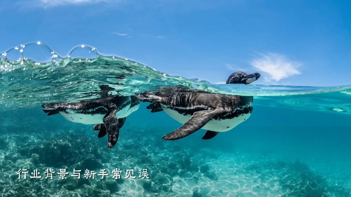 行业背景与新手常见误