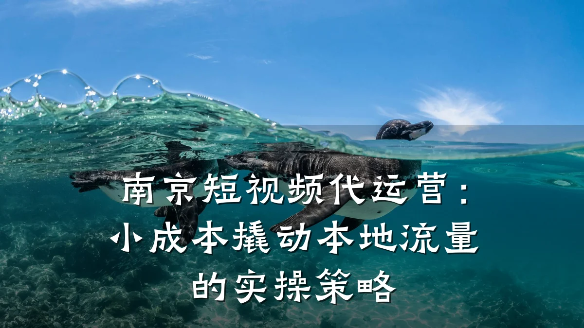 南京短视频代运营:小成本撬动本地流量的实操策略