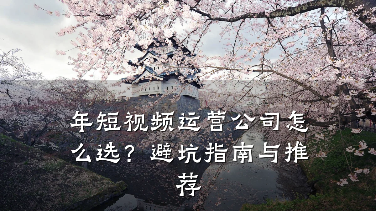 年短视频运营公司怎么选？避坑指南与推荐