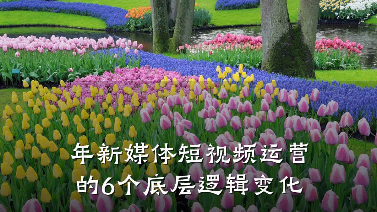 年新媒体短视频运营的6个底层逻辑变化