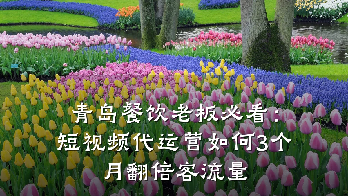 青岛餐饮老板必看:短视频代运营如何3个月翻倍客流量