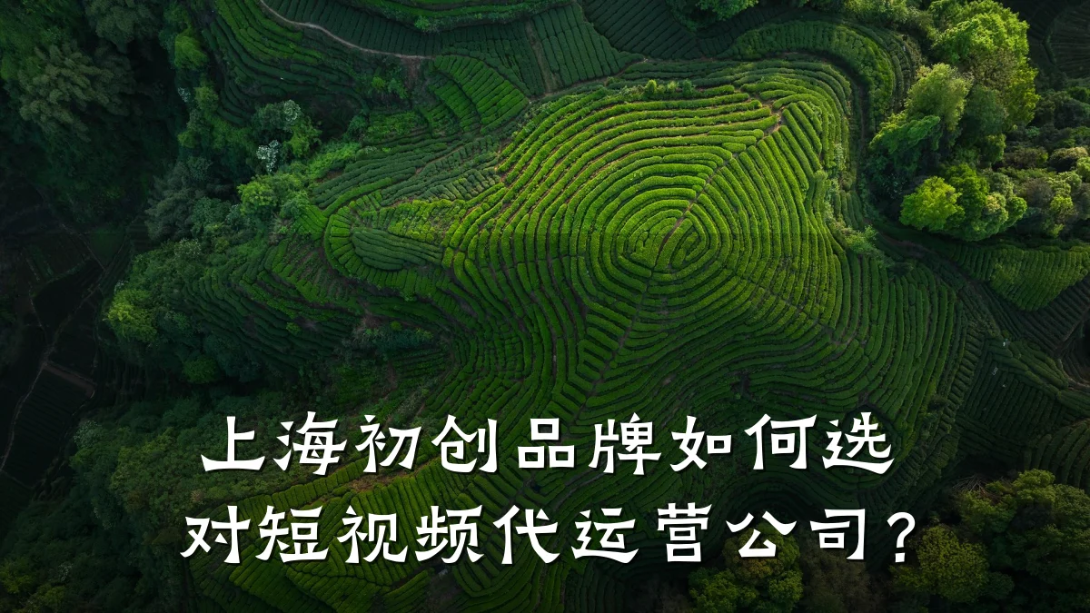 上海初创品牌如何选对短视频代运营公司?