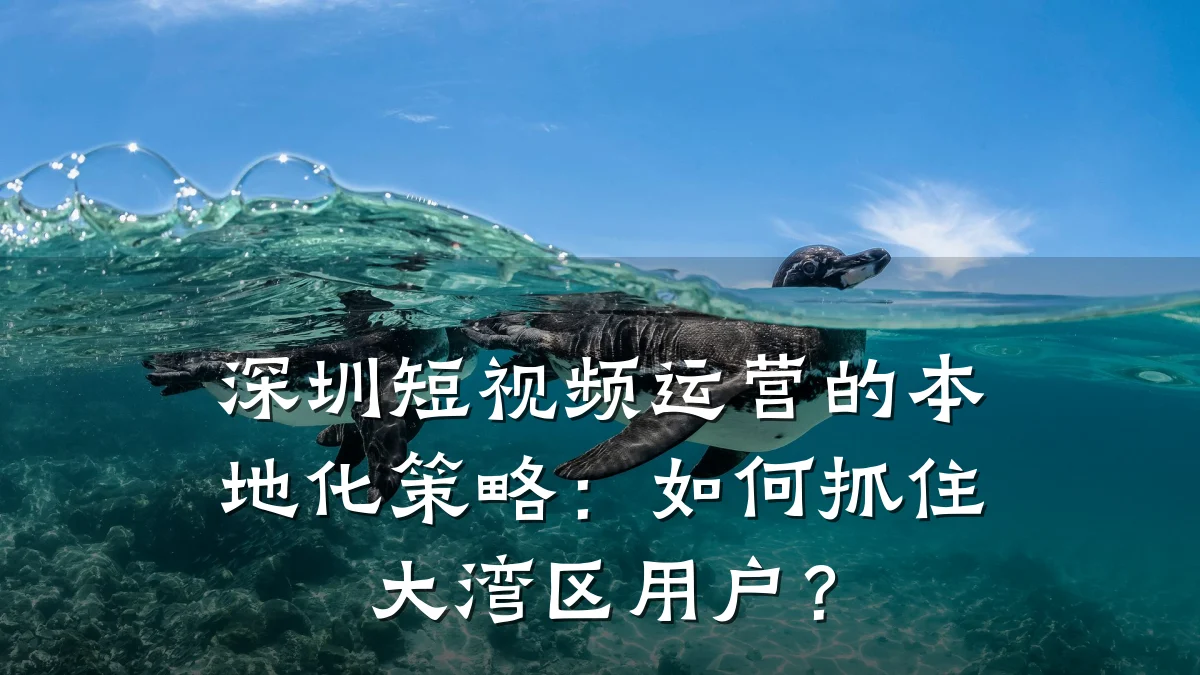 深圳短视频运营的本地化策略:如何抓住大湾区用户?
