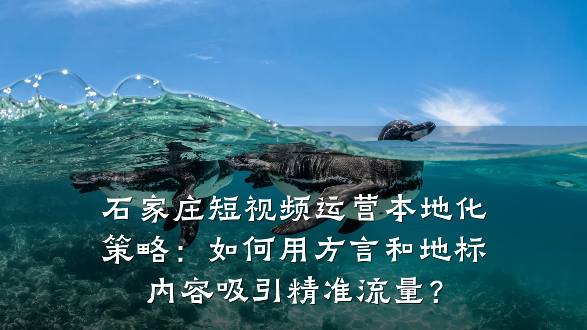 石家庄短视频运营本地化策略:如何用方言和地标内容吸引精准流量?
