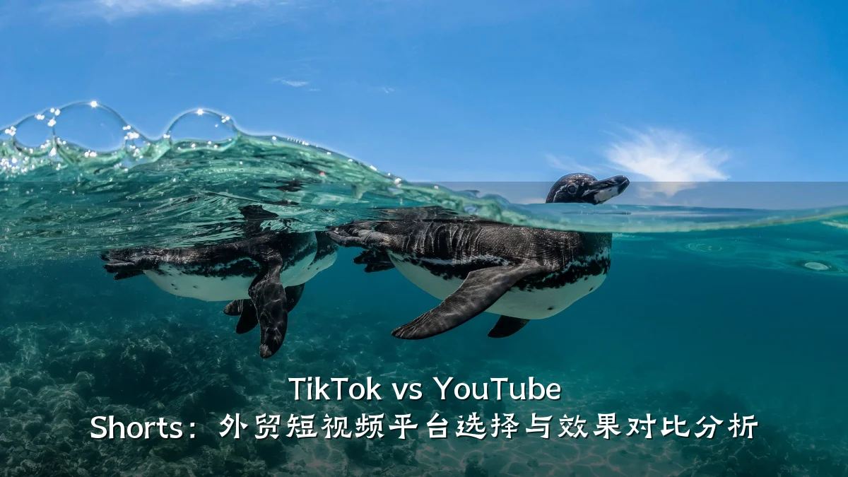 TikTok vs YouTube Shorts:外贸短视频平台选择与效果对比分析