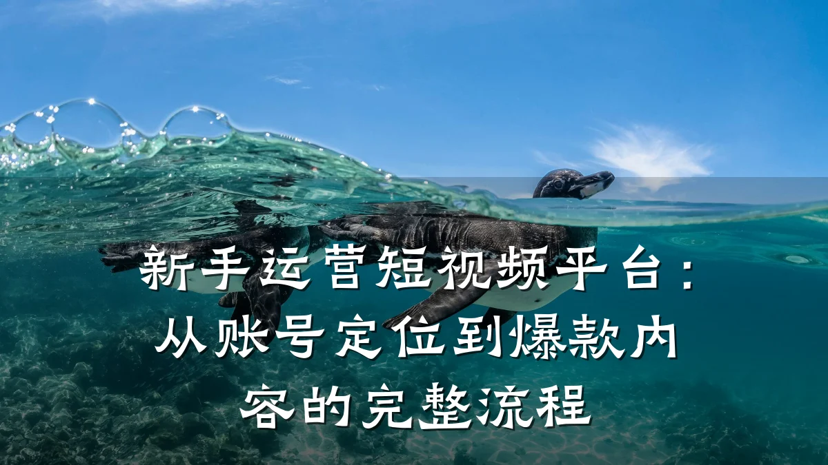 新手运营短视频平台:从账号定位到爆款内容的完整流程