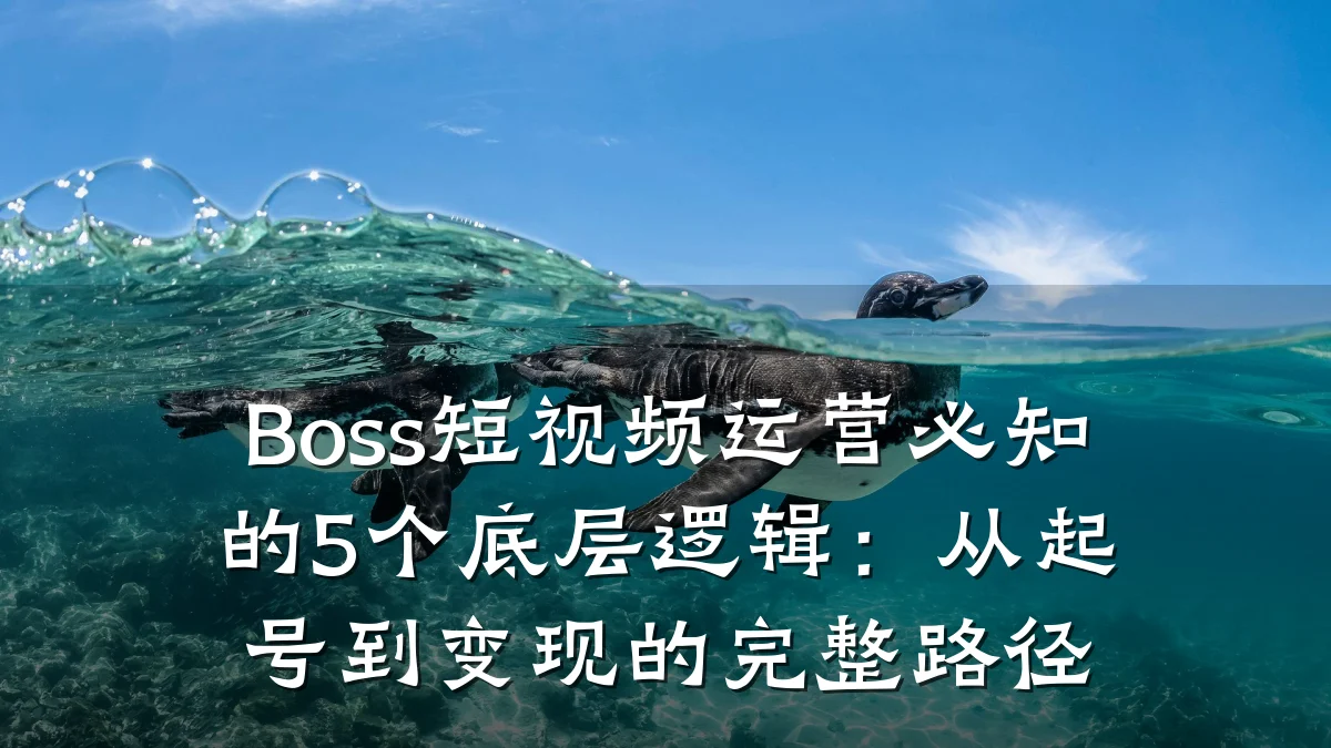 Boss短视频运营必知的5个底层逻辑：从起号到变现的完整路径