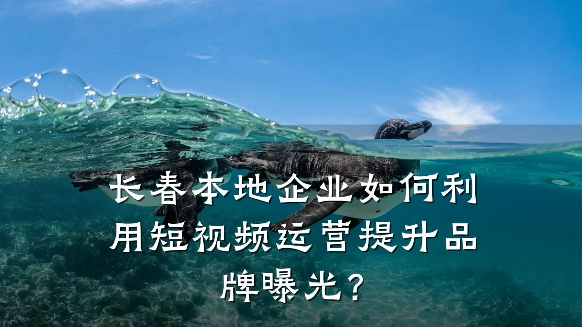 长春本地企业如何利用短视频运营提升品牌曝光？