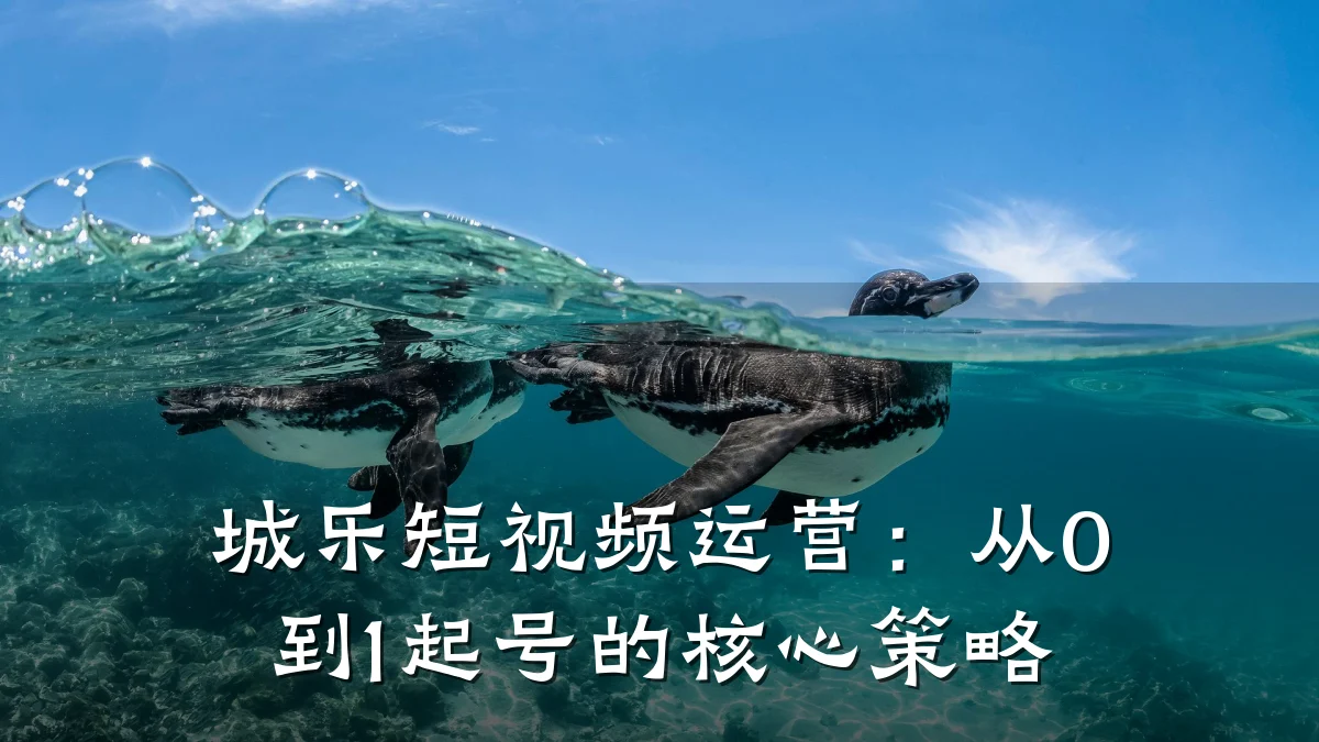 城乐短视频运营：从0到1起号的核心策略