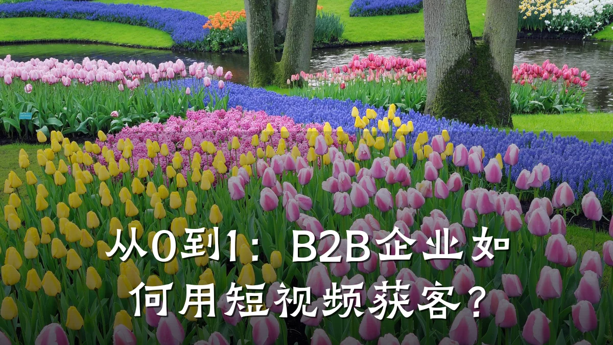 从0到1：B2B企业如何用短视频获客？
