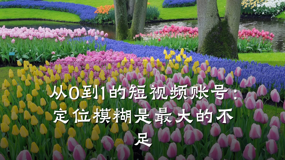 从0到1的短视频账号:定位模糊是最大的不足