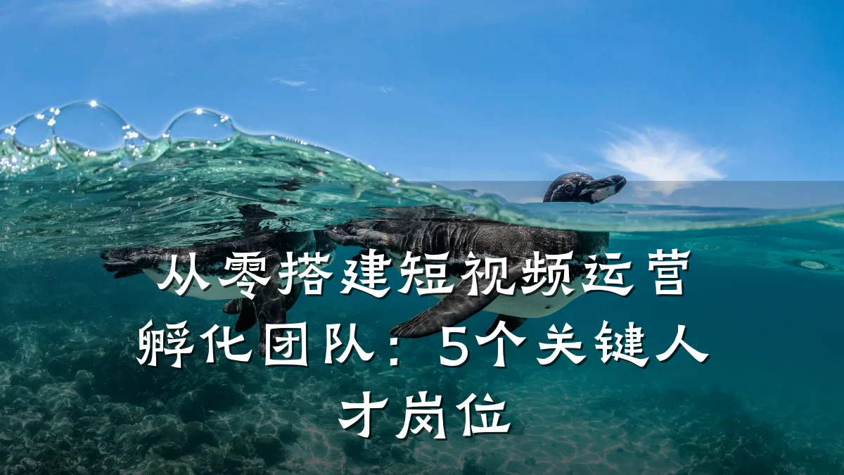 从零搭建短视频运营孵化团队:5个关键人才岗位