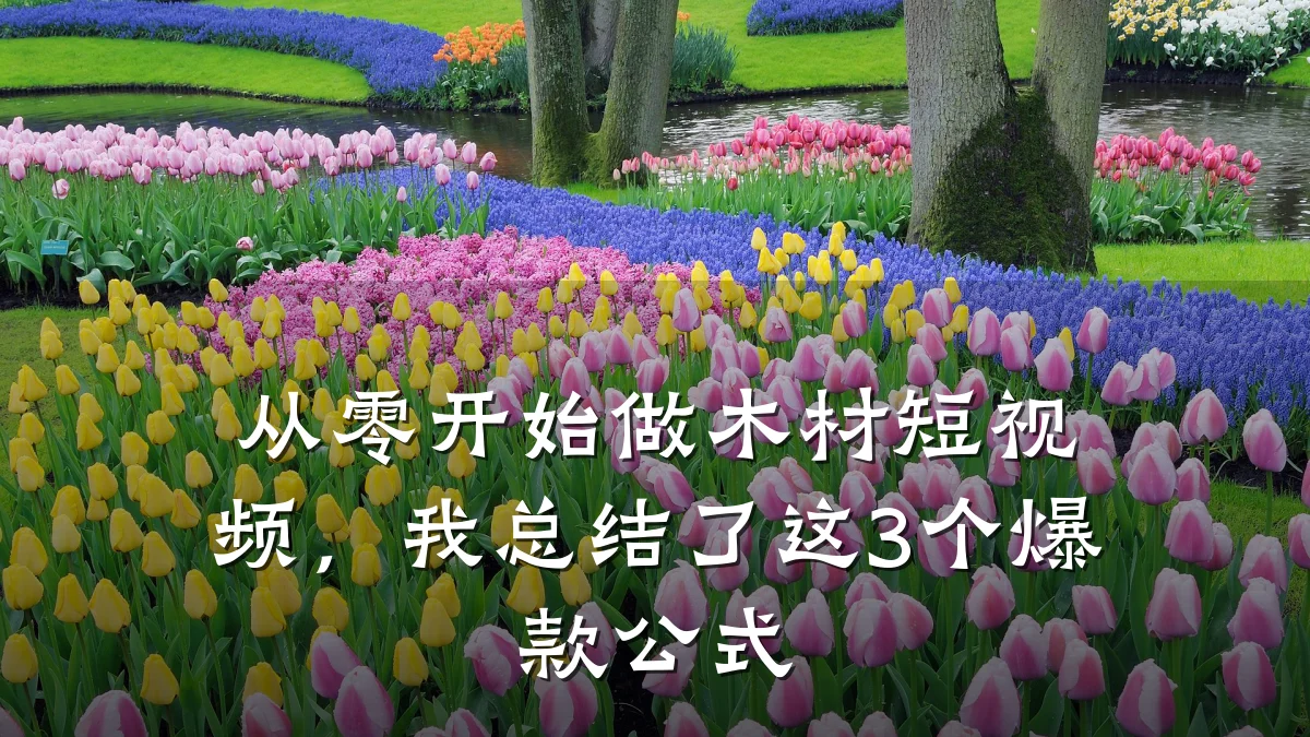 从零开始做木材短视频,我总结了这3个爆款公式