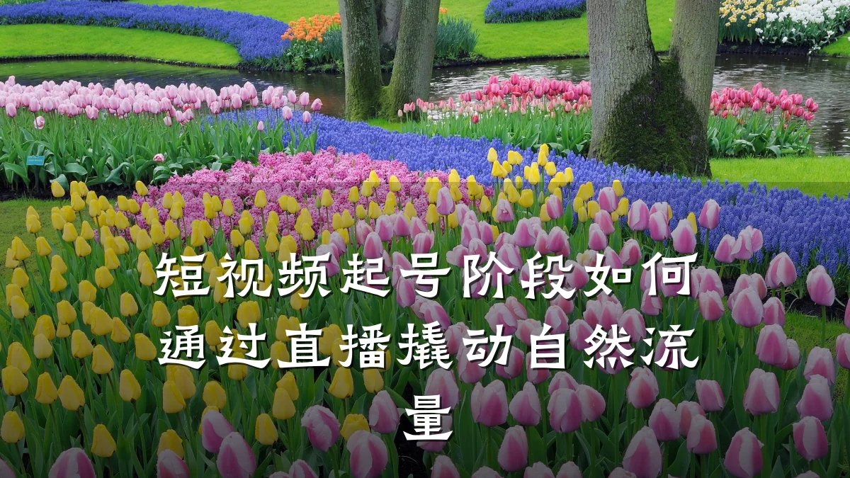 短视频起号阶段如何通过直播撬动自然流量