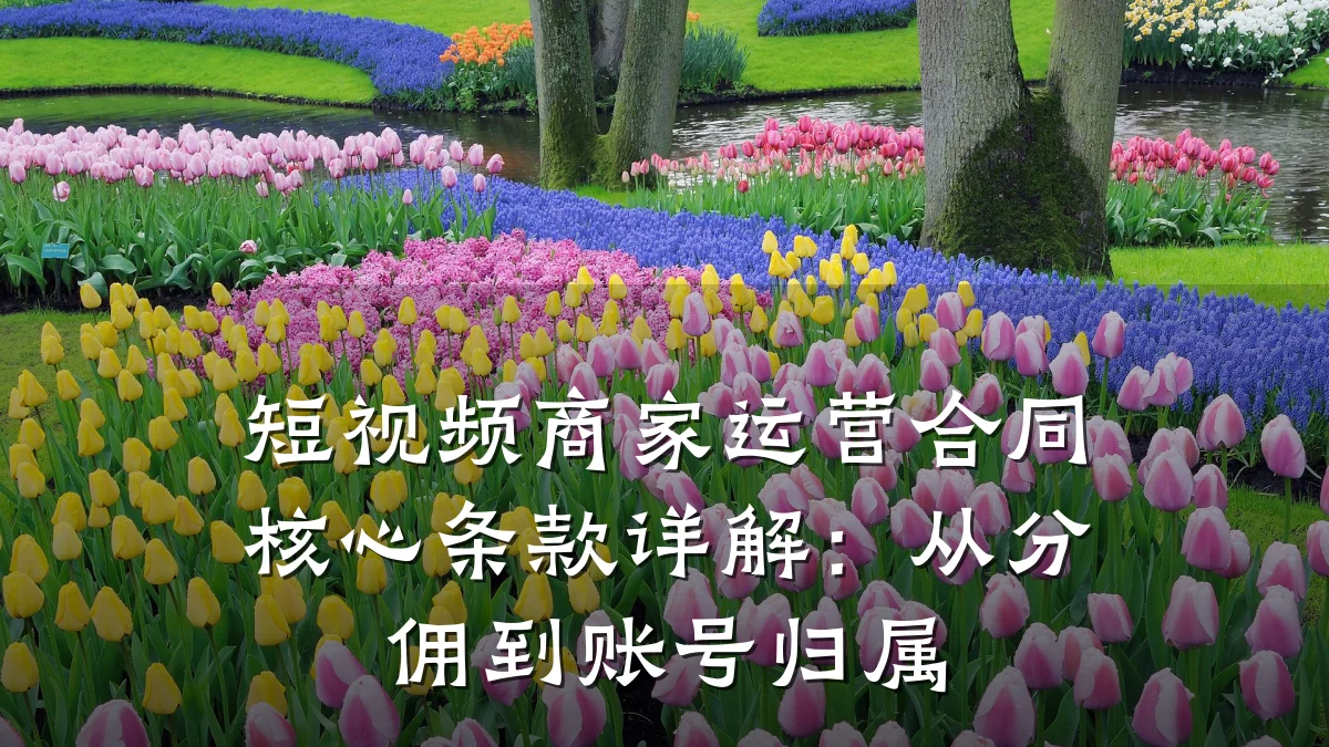 短视频商家运营合同核心条款详解:从分佣到账号归属
