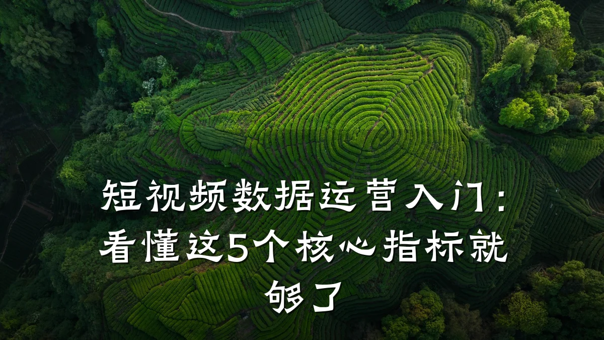 短视频数据运营入门:看懂这5个核心指标就够了