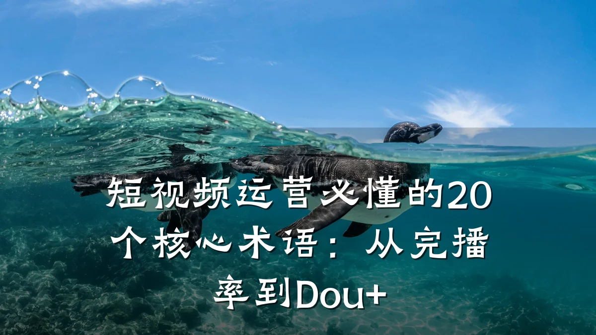 短视频运营必懂的20个核心术语:从完播率到Dou+