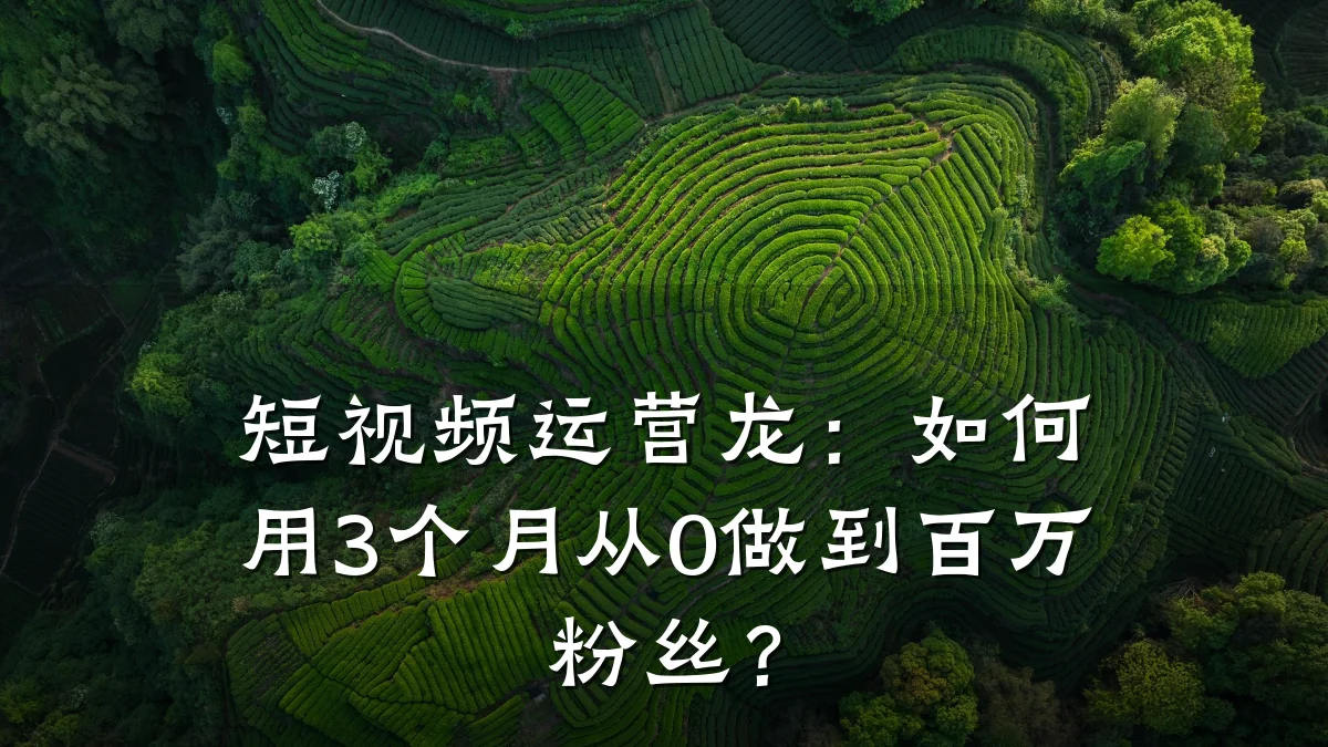 短视频运营龙：如何用3个月从0做到百万粉丝？