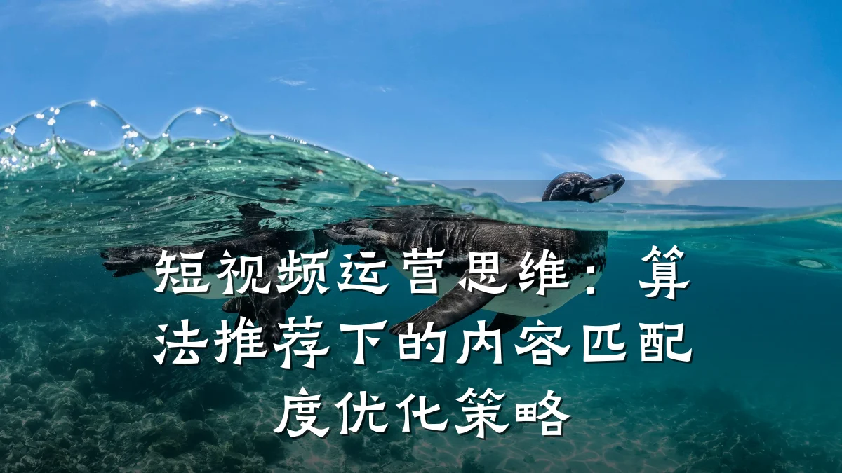 短视频运营思维:算法推荐下的内容匹配度优化策略