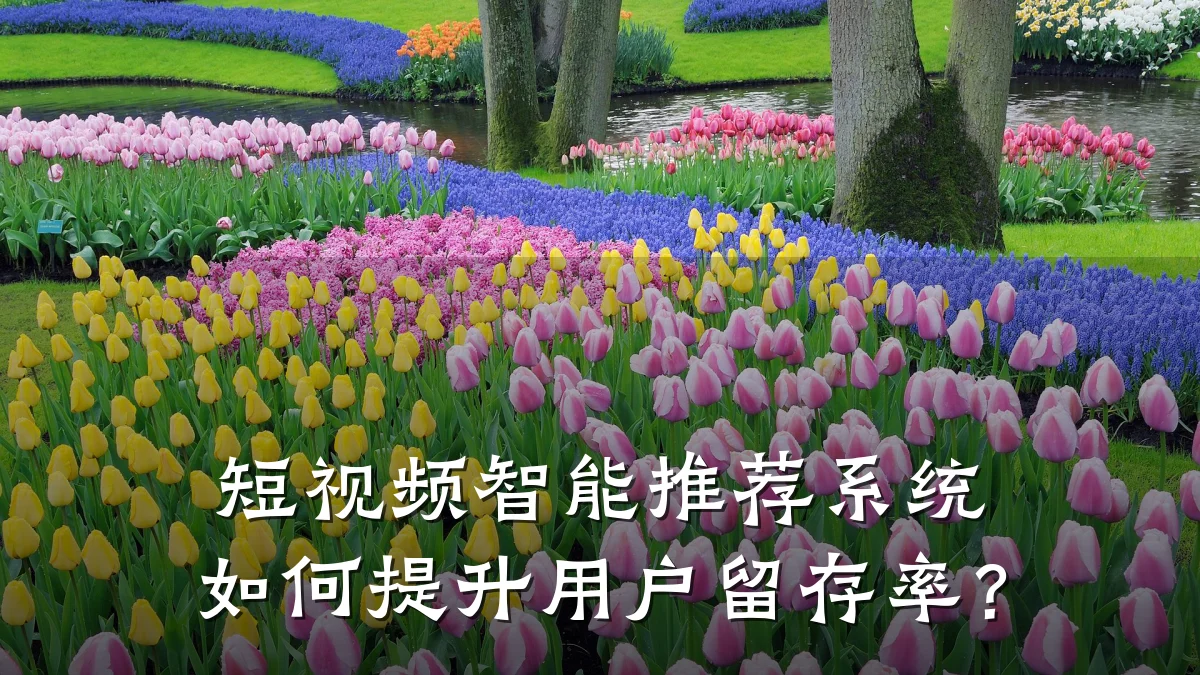 短视频智能推荐系统如何提升用户留存率?