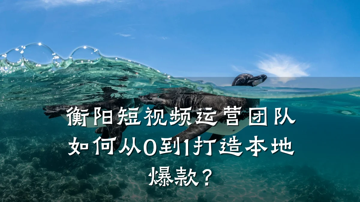 衡阳短视频运营团队如何从0到1打造本地爆款?