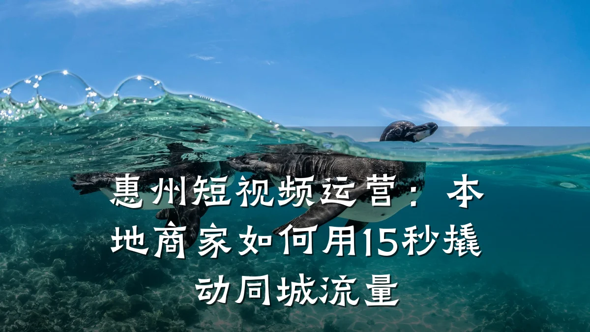 惠州短视频运营:本地商家如何用15秒撬动同城流量