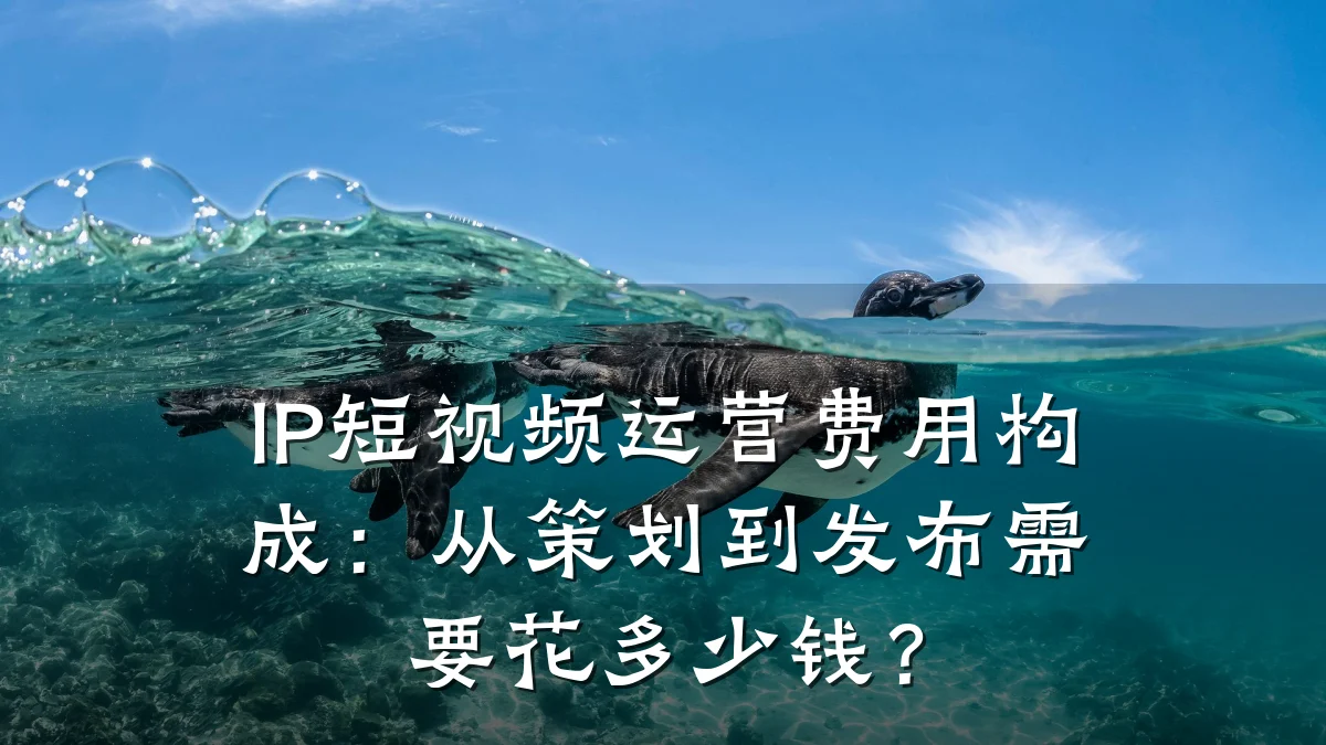 IP短视频运营费用构成:从策划到发布需要花多少钱?