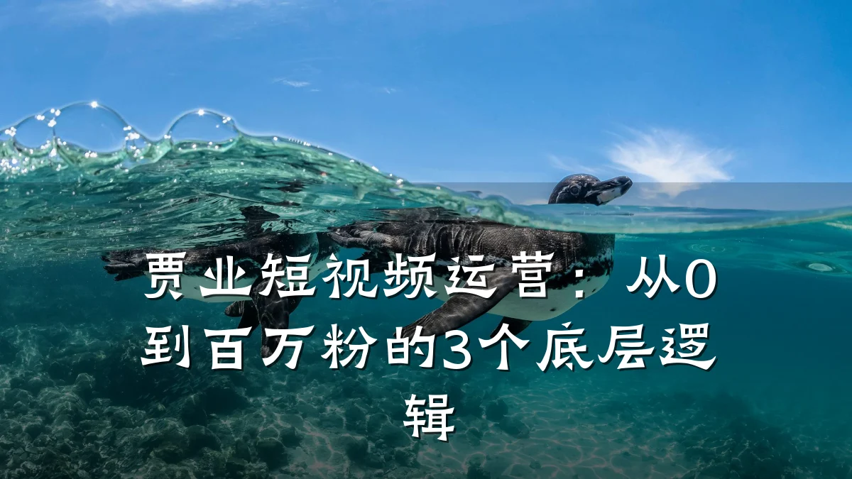 贾业短视频运营:从0到百万粉的3个底层逻辑