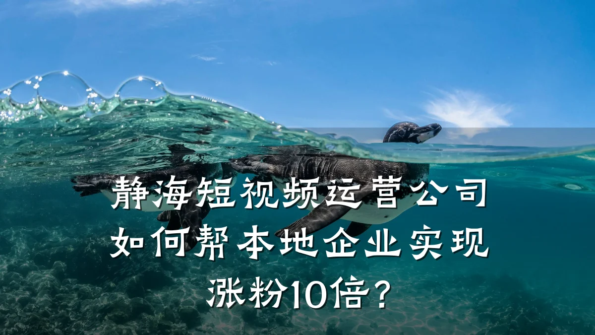 静海短视频运营公司如何帮本地企业实现涨粉10倍?