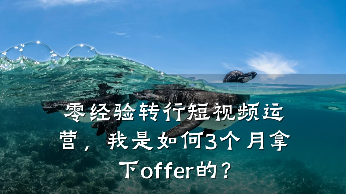 零经验转行短视频运营,我是如何3个月拿下offer的?