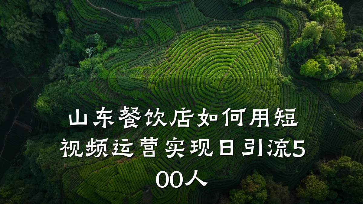 山东餐饮店如何用短视频运营实现日引流500人