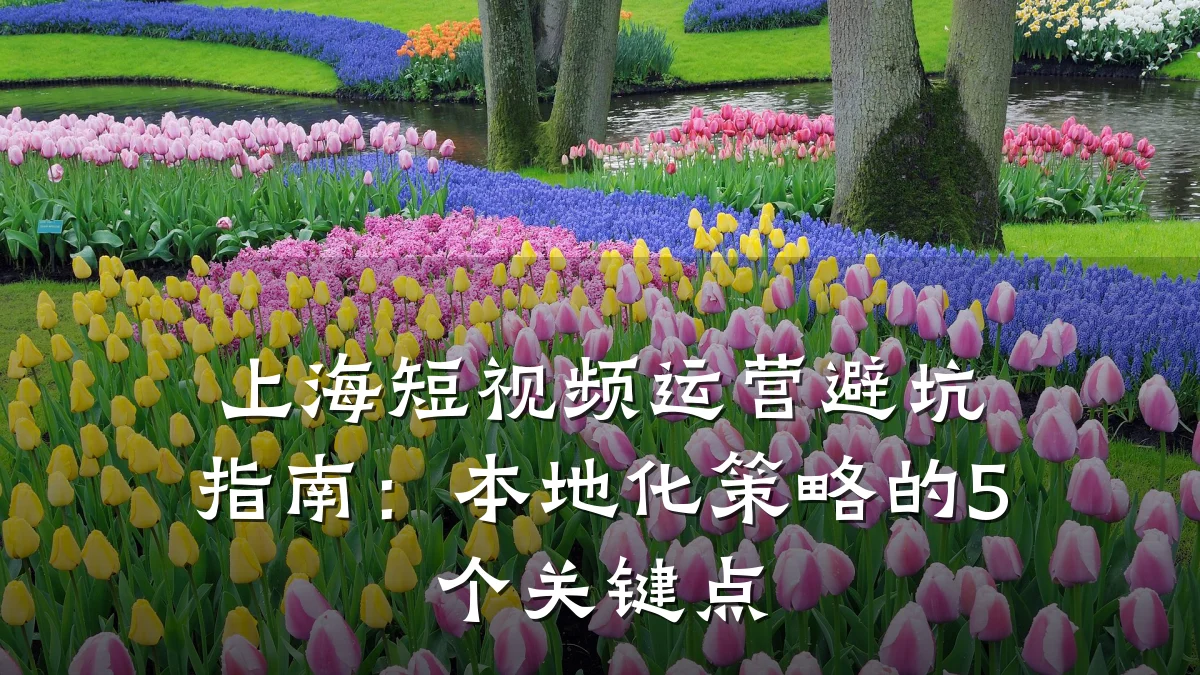 上海短视频运营避坑指南:本地化策略的5个关键点