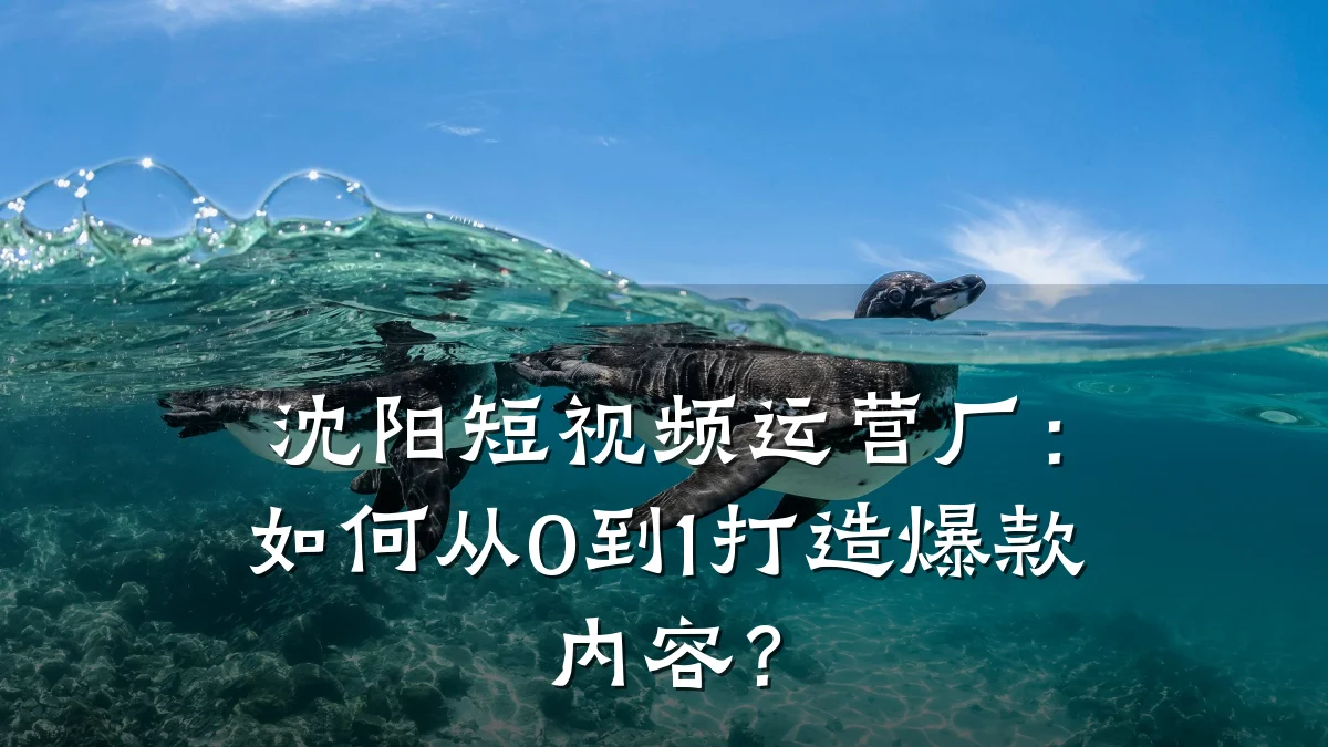 沈阳短视频运营厂:如何从0到1打造爆款内容?