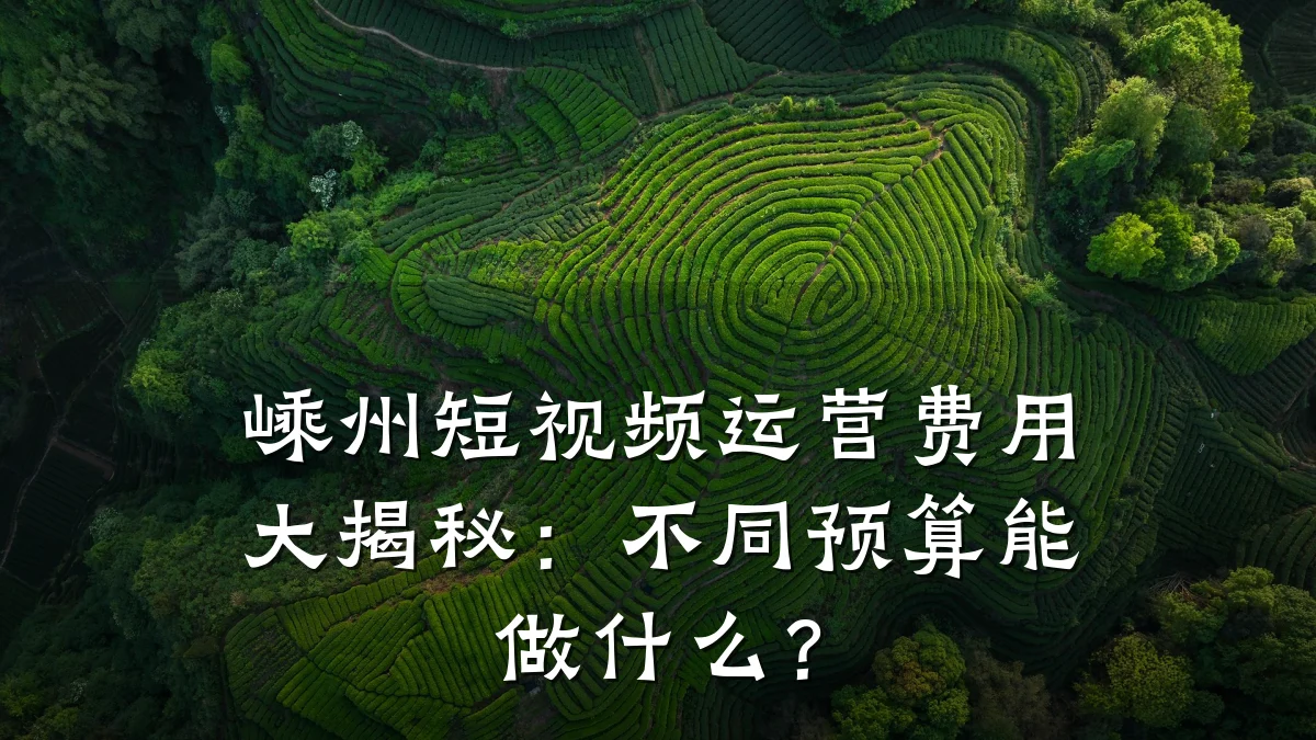 嵊州短视频运营费用大揭秘:不同预算能做什么?